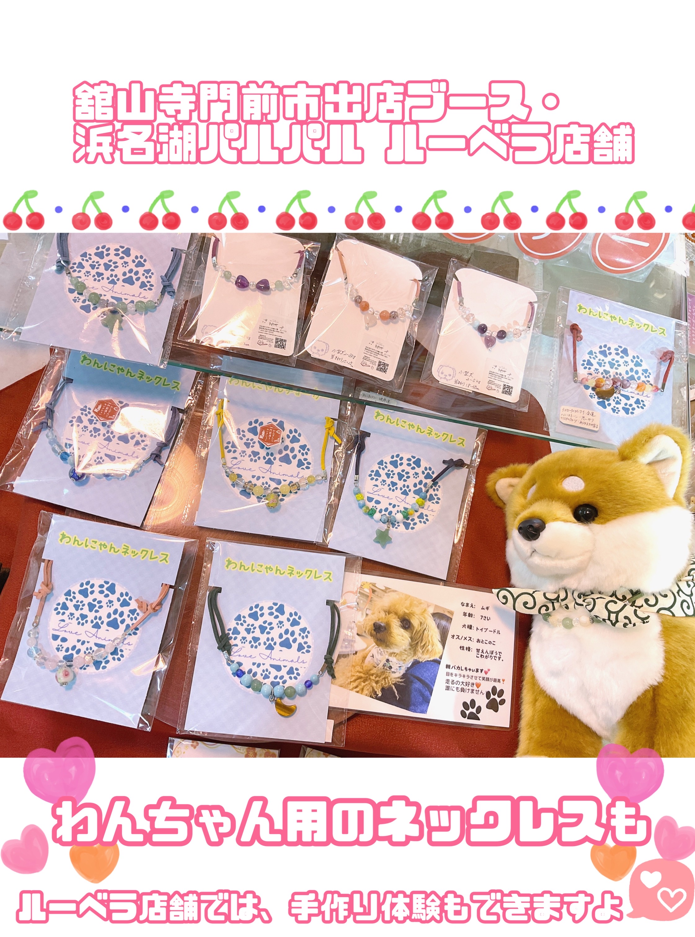 🐶わんちゃん浴衣レンタル🐶☆5月25日26日限定！☆わんちゃんイベント